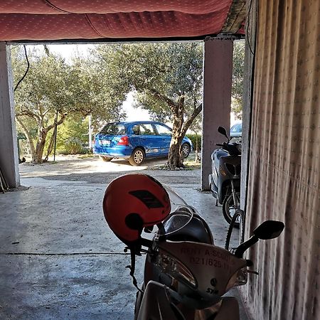 Apartmani Ivica Krzanic Podgora Εξωτερικό φωτογραφία